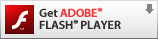 Adobe Flash Player Link